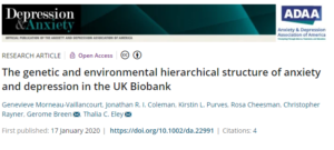 The genetic and environmental hierarchical structure of anxiety and depression in the UK Biobank